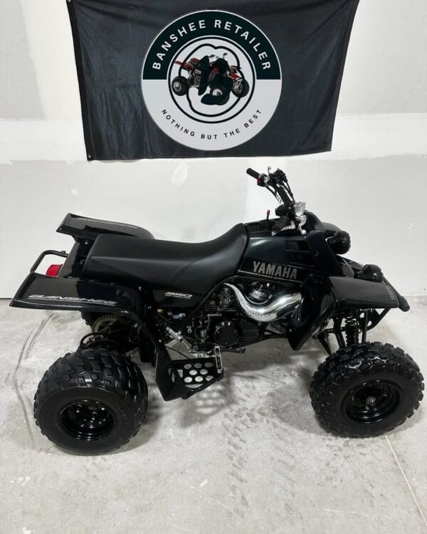 2004 Yamaha Banshee LE - Image 4